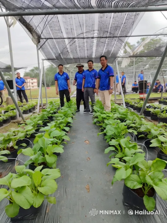 Kung Fu Showdown in a Serene Greenhouse Setting – AI Generated Video | Hailuo AI