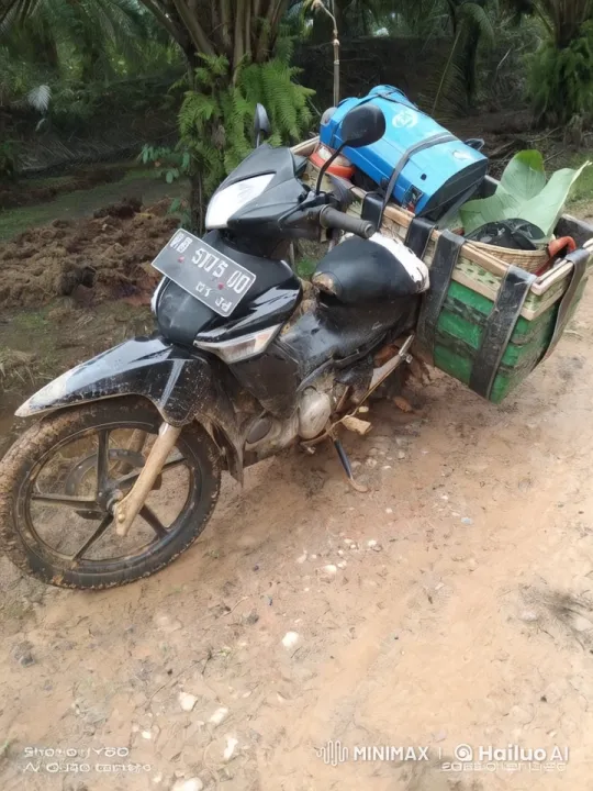 Motorcycle Transforms into a Robot in Lush Jungle Setting – AI Generated Video | Hailuo AI
