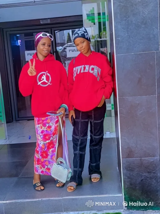 Dynamic Live2D Video: Vibrant Red Hoodies Perform Synchronized Kungfu – AI Generated Video | Hailuo AI