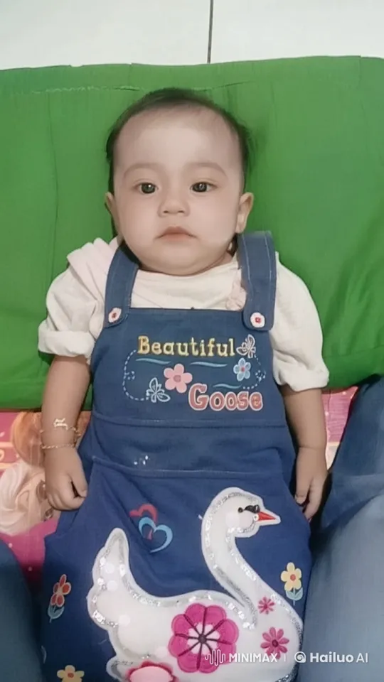 Baby in 'Beautiful Goose' Overall Practices Kungfu in Live2D Video – AI Generated Video | Hailuo AI