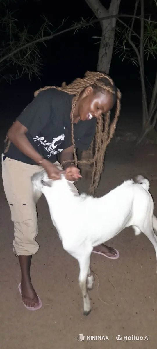 Live2D Animated Kungfu Fight with Goat – AI Generated Video | Hailuo AI