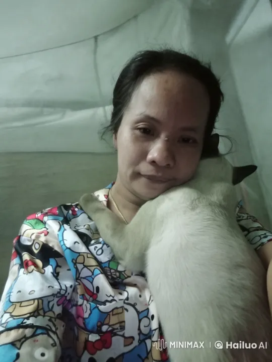 Live2D Video of Relaxed Siamese Cat and Its Owner – AI Generated Video | Hailuo AI