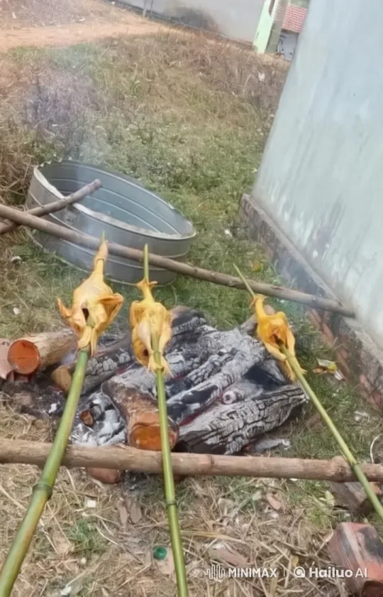 Roasted Chickens Battle in Martial Arts Over Fire – AI Generated Video | Hailuo AI