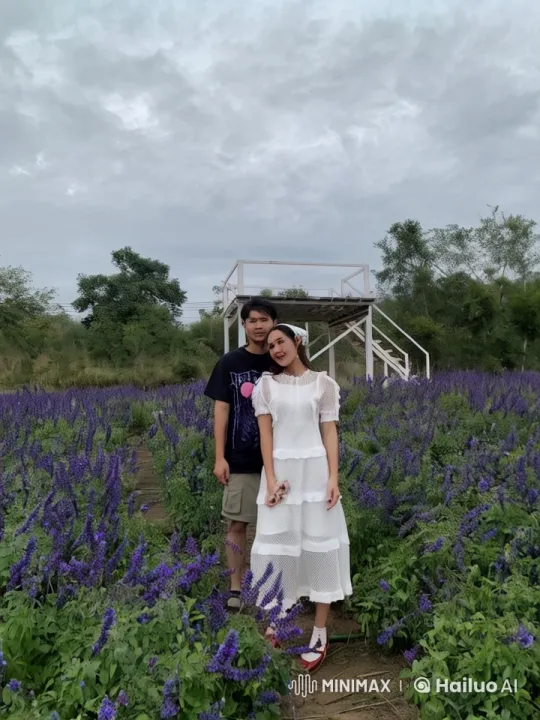 Kung Fu Duel in Lavender Field - Live2D Animation – AI Generated Video | Hailuo AI