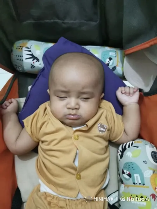 Baby Mimics Kungfu in Stroller – AI Generated Video | Hailuo AI