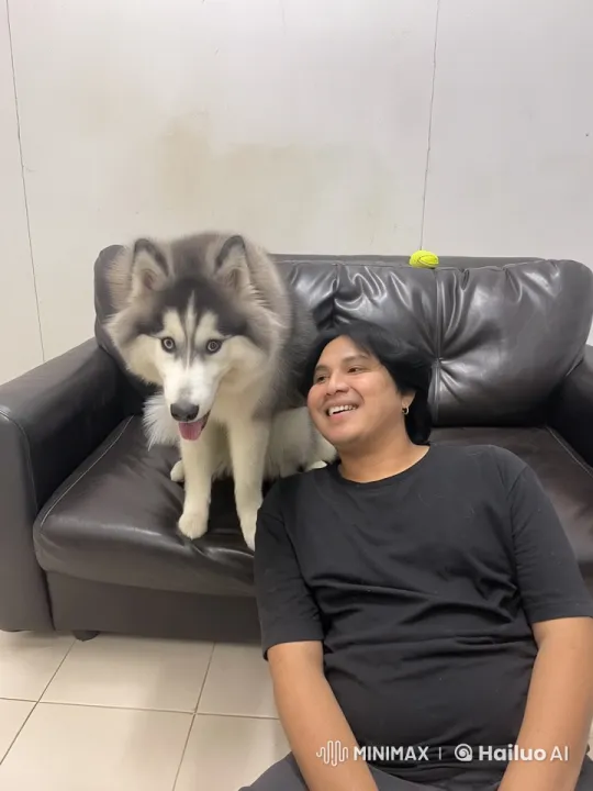 Husky Dog Performs Kung Fu in Live2D Animation – AI Generated Video | Hailuo AI