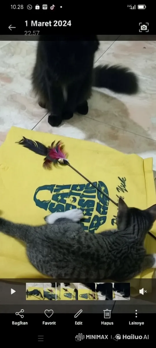 Live2D Animated Cats Showcase Kungfu Skills in Playful Duel – AI Generated Video | Hailuo AI