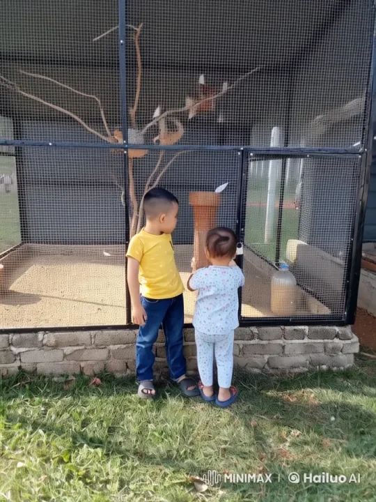 Children Perform Playful Kungfu in Live2D Animation – AI Generated Video | Hailuo AI