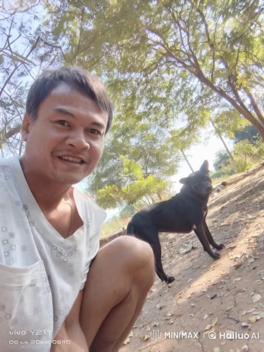 Martial Artist Practices with Watchful Dog in Forest – AI Generated Video | Hailuo AI