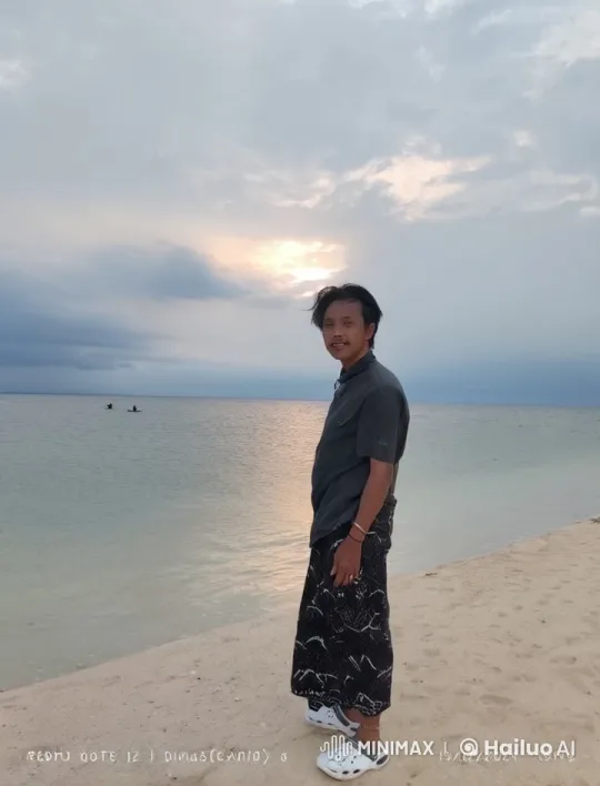 Beach Serenity: Person, Lion, and White Tiger at Sunset – AI Generated Video | Hailuo AI