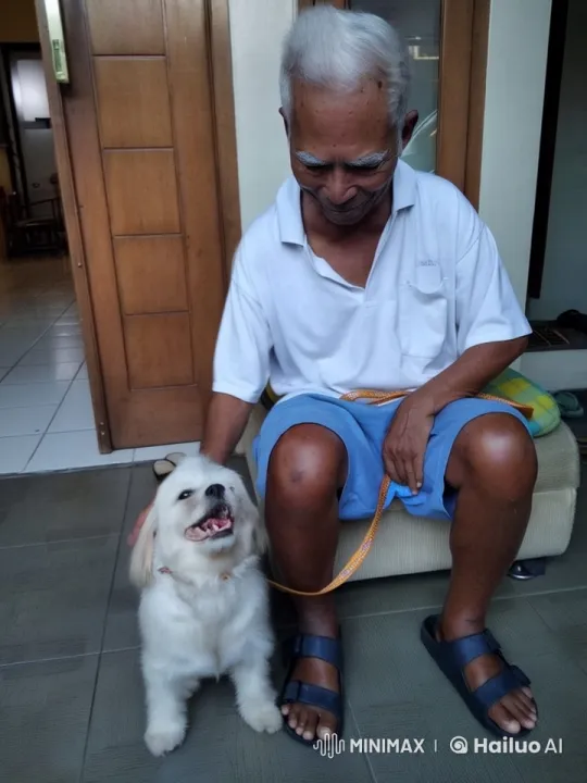 Elderly Man Pets Kung Fu Dog in Live2D Animation – AI Generated Video | Hailuo AI