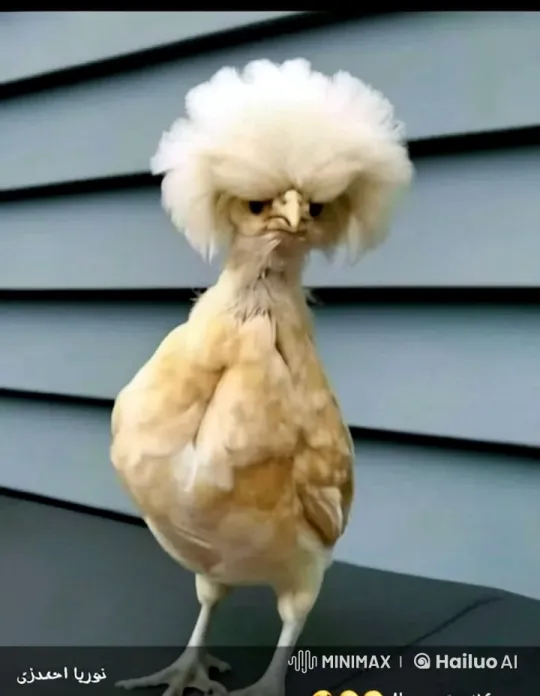 Piku the Hen Saves the Village in Snowy Drama – AI Generated Video | Hailuo AI