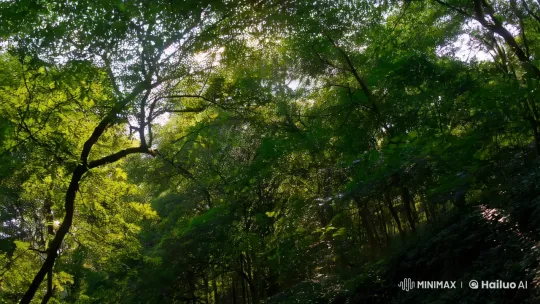 Rain-Kissed Forest: A Dance of Light and Nature – AI Generated Video | Hailuo AI