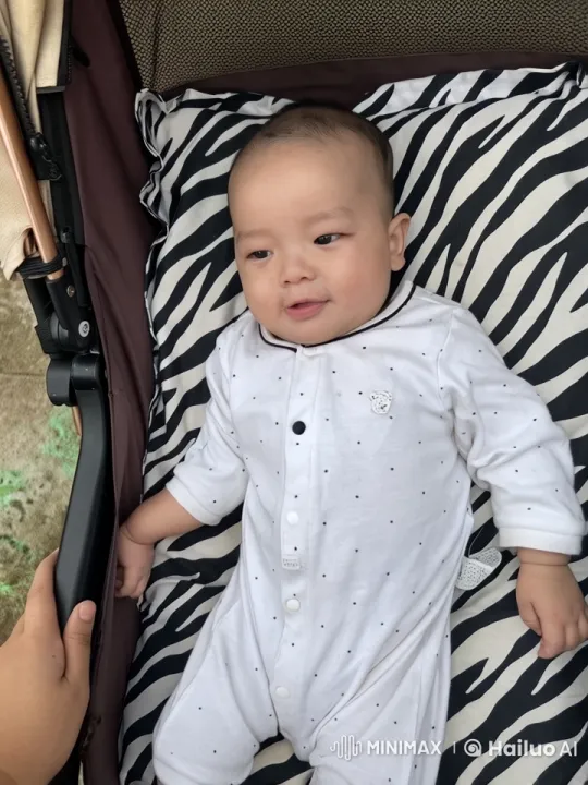 Baby Kung Fu in Stroller with Live2D Animation – AI Generated Video | Hailuo AI