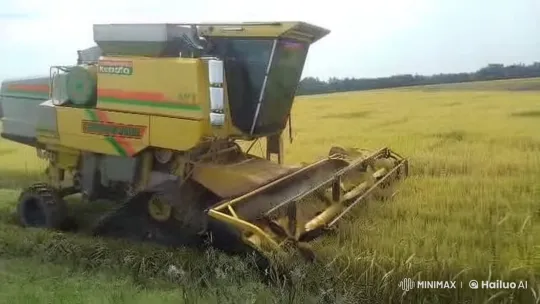 Kubota DC-70G Harvester in Rice Field – AI Generated Video | Hailuo AI