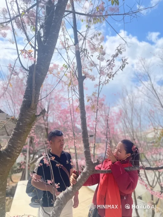 Kungfu Practitioners Displaying Skills Under Cherry Blossoms – AI Generated Video | Hailuo AI