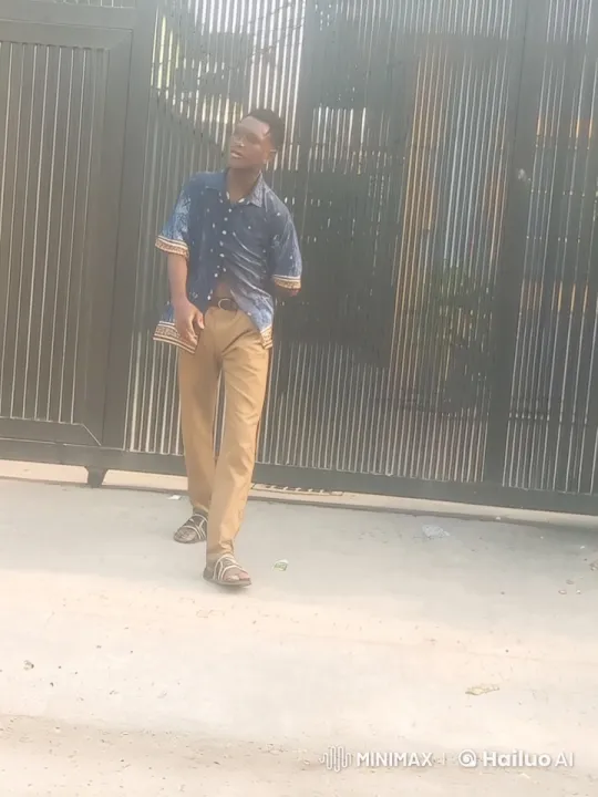 Live2D Animated Kung Fu Performance by Man in Blue Shirt – AI Generated Video | Hailuo AI