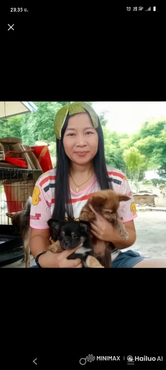 Live2D Animated Person Enacts Dynamic Activities with Dogs – AI Generated Video | Hailuo AI