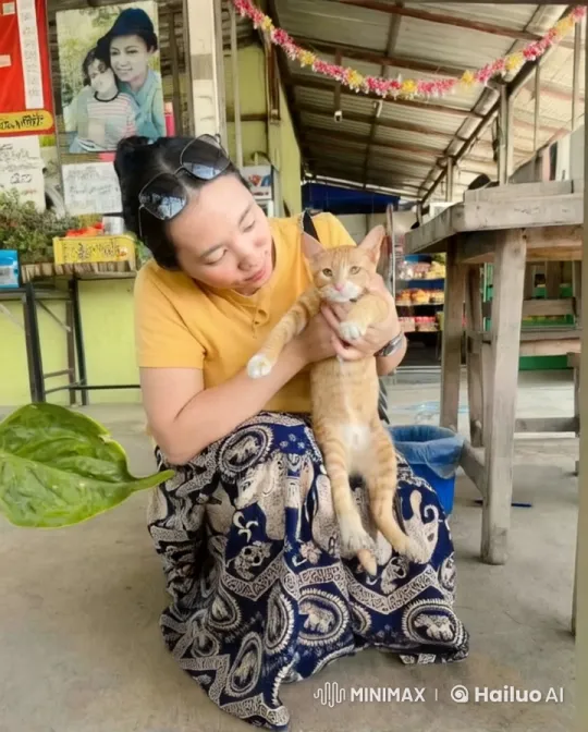 Cat Performs Impressive Kung Fu Moves in Outdoor Market – AI Generated Video | Hailuo AI