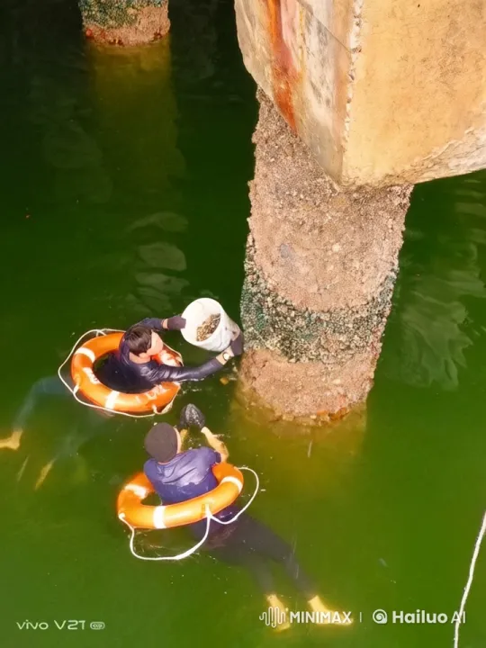 Underwater Martial Arts Battle with Kung Fu Attacks – AI Generated Video | Hailuo AI
