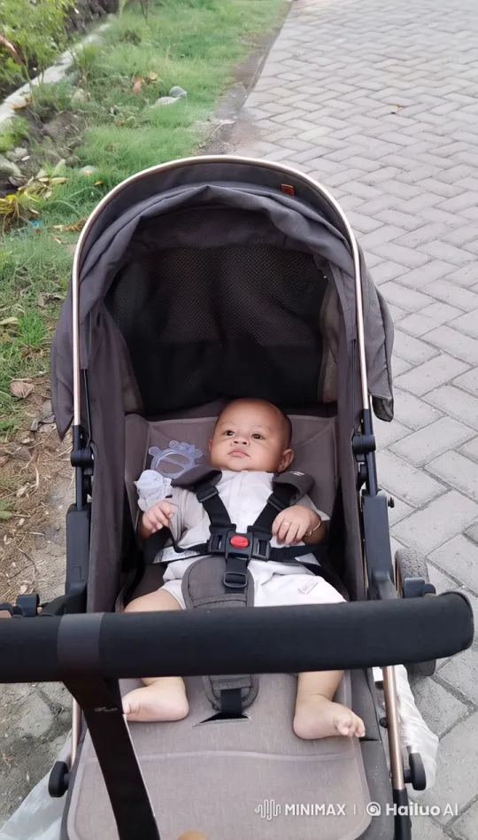 Baby Practicing Kungfu in Live2D Stroller Scene – AI Generated Video | Hailuo AI