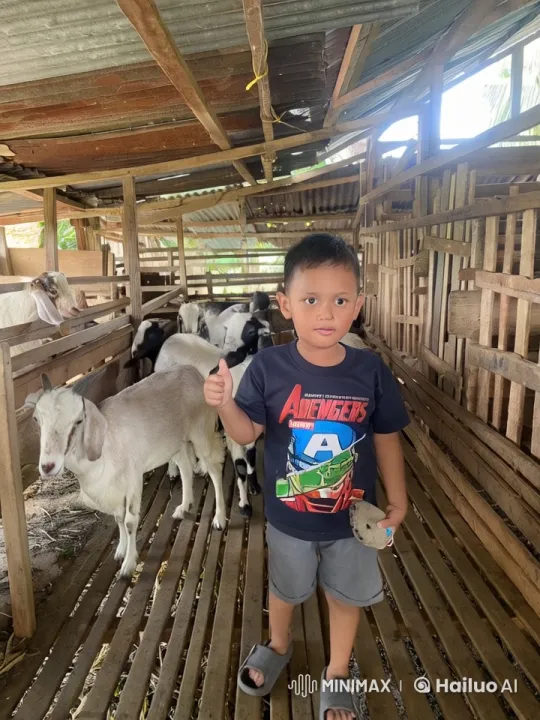 Boy Practices Kungfu with Goats Watching – AI Generated Video | Hailuo AI