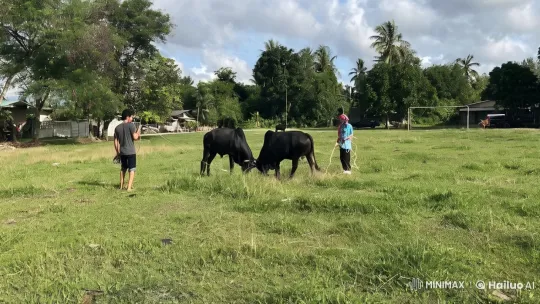 Kung Fu Fight in Pastoral Setting with Animated Cows – AI Generated Video | Hailuo AI