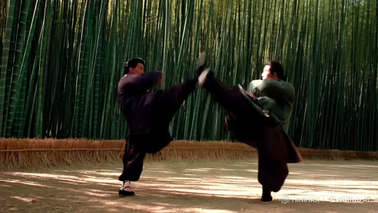 Aesthetic Kung Fu Fight in Bamboo Forest – AI Generated Video | Hailuo AI