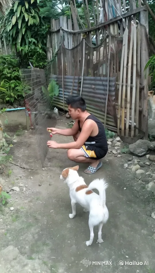 Gardener Transforms into Martial Artist in Live2D Animation – AI Generated Video | Hailuo AI