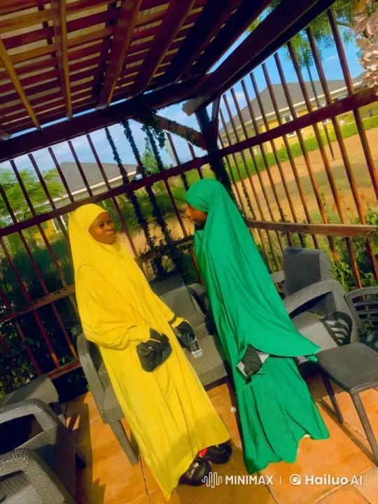 Colorful Robes Kung Fu Duel in Peaceful Gazebo – AI Generated Video | Hailuo AI