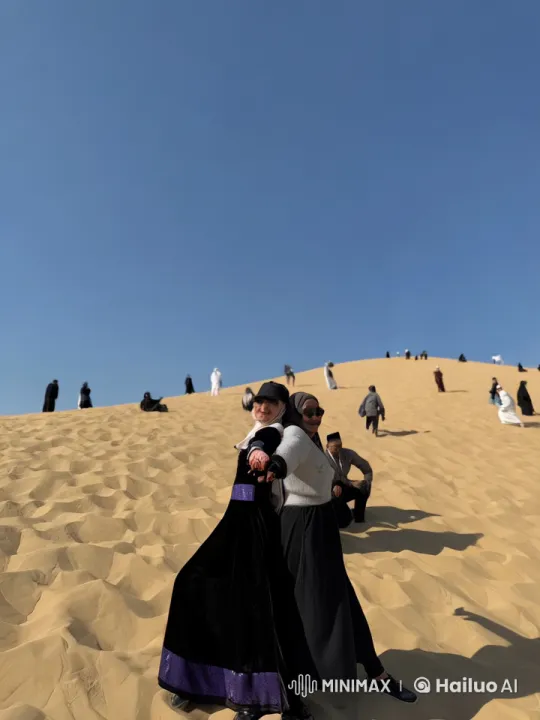 Traditional Kung Fu Practiced in Desert Live2D Animation – AI Generated Video | Hailuo AI