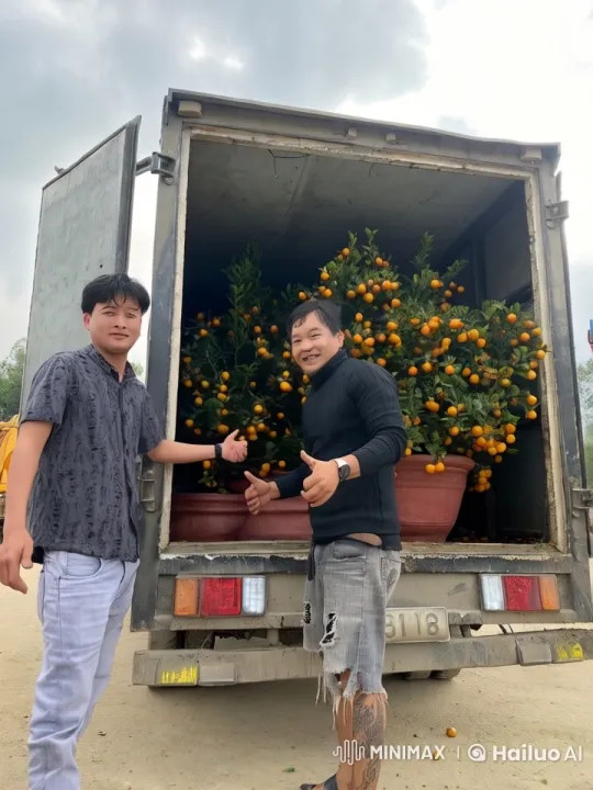 Kung Fu Performance by Two Men Near Truck with Orange Trees – AI Generated Video | Hailuo AI