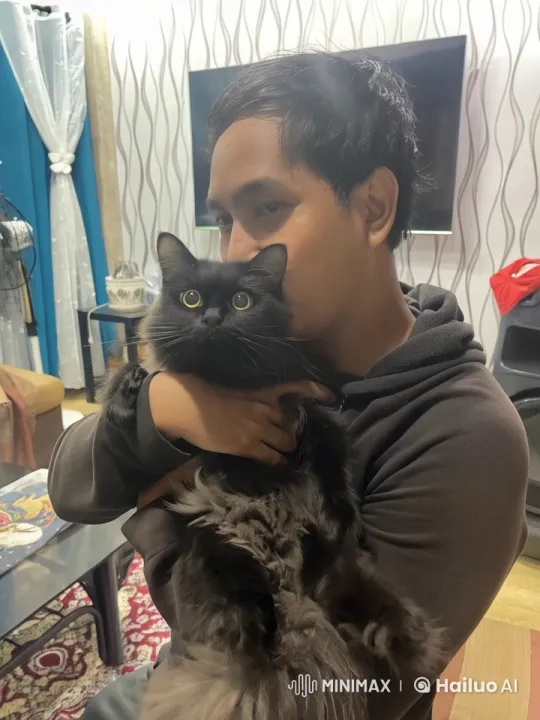 Man and Cat Perform Synchronized Kung Fu in Cozy Modern Room – AI Generated Video | Hailuo AI