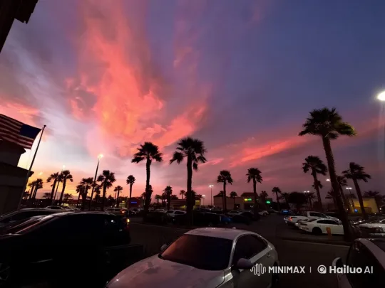 Magical Sunset: Fire Phoenix Over Swaying Palm Trees – AI Generated Video | Hailuo AI