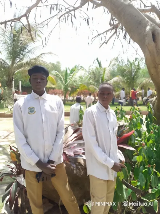 Young Men Demonstrate Martial Arts in Scenic Garden – AI Generated Video | Hailuo AI