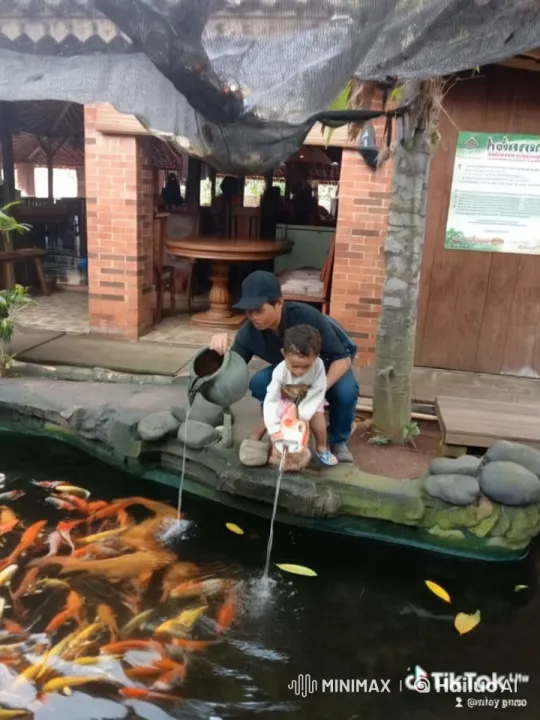 Rustic Koi Pond: Man and Child's Playful Moment – AI Generated Video | Hailuo AI
