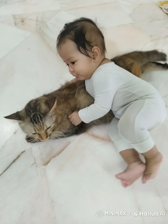 Baby and Cat Engage in Playful Kungfu Battle – AI Generated Video | Hailuo AI