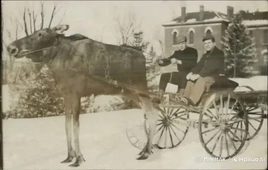 Early 20th-Century Winter Scene: Moose-Drawn Carriage in Snowy Landscape – AI Generated Video | Hailuo AI