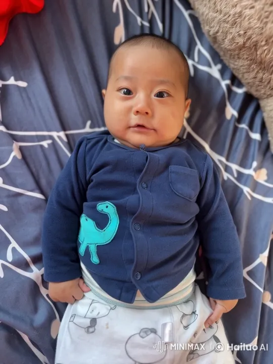 Baby Kung Fu Showdown in Live2D Animation – AI Generated Video | Hailuo AI