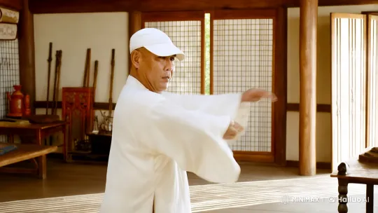 Asian Man Demonstrates Mastery of Kung Fu in Old Dojo – AI Generated Video | Hailuo AI