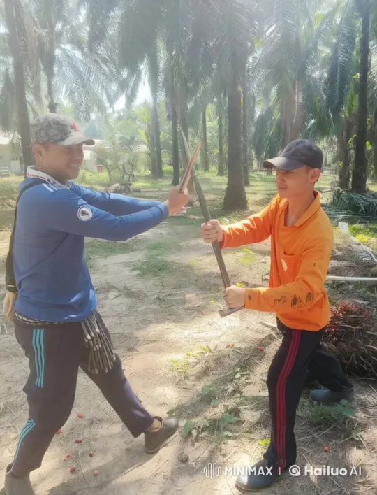 Intense Sparring Match in a Sunlit Palm Plantation – AI Generated Video | Hailuo AI