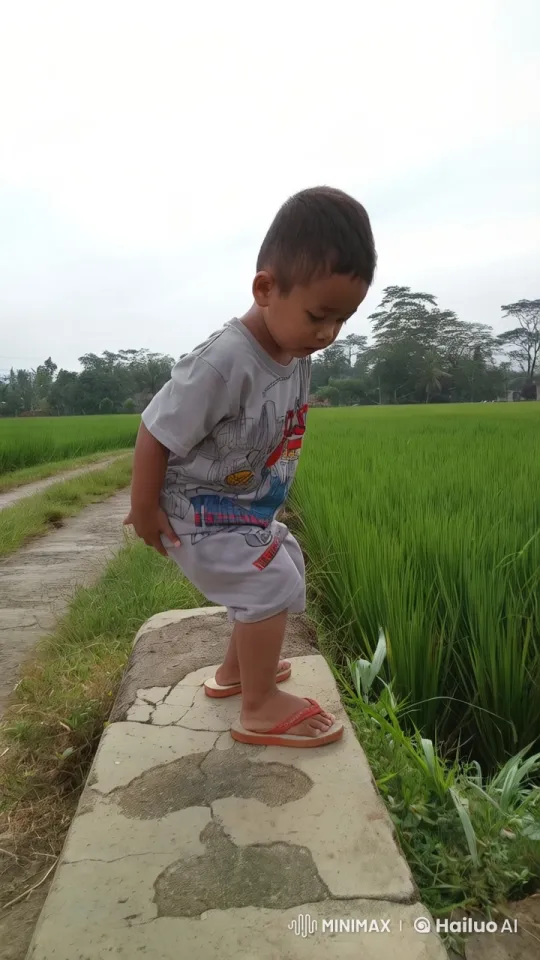 Boy Enacts Energetic Flight Imagery on Paddy Field Edge – AI Generated Video | Hailuo AI