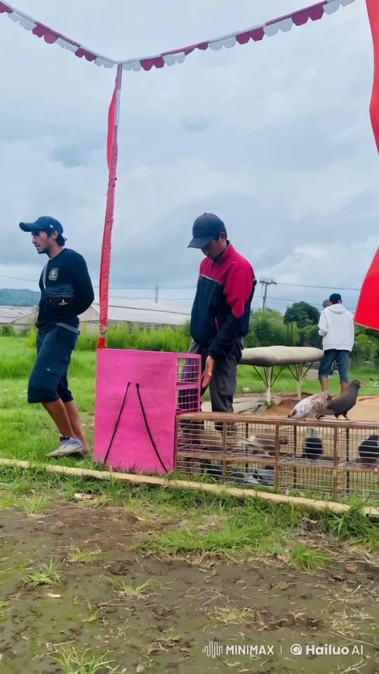 Dynamic Kungfu Display by Two Men Amidst Birds – AI Generated Video | Hailuo AI