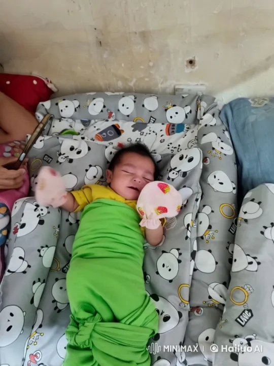 Baby Kungfu Master in Live2D Animation – AI Generated Video | Hailuo AI