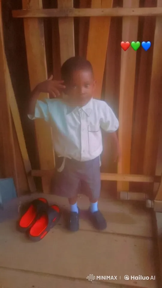Child Practicing Kung Fu in Animated Live2D Video – AI Generated Video | Hailuo AI