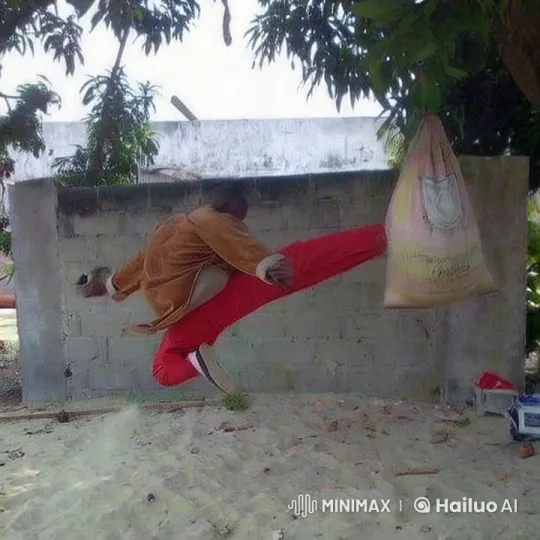 Live2D Kungfu Training: Dynamic Moves and Outdoor Setting – AI Generated Video | Hailuo AI