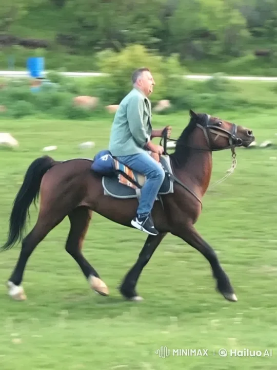 Rider and Horse in Serene Green Field Adventure – AI Generated Video | Hailuo AI