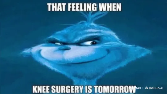 Grinches Evade Police, Unite to Flee and Erase Knee Surgery – AI Generated Video | Hailuo AI