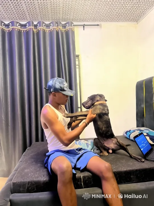 Man and Dog Playfully Interact on Bed – AI Generated Video | Hailuo AI