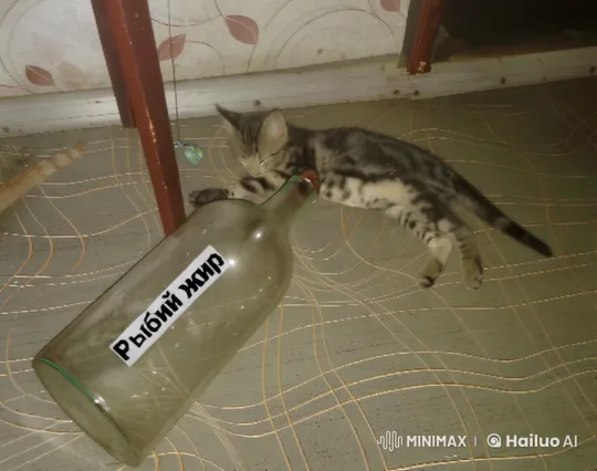 Kitten Playfully Interacts with 'Fish Oil' Bottle – AI Generated Video | Hailuo AI